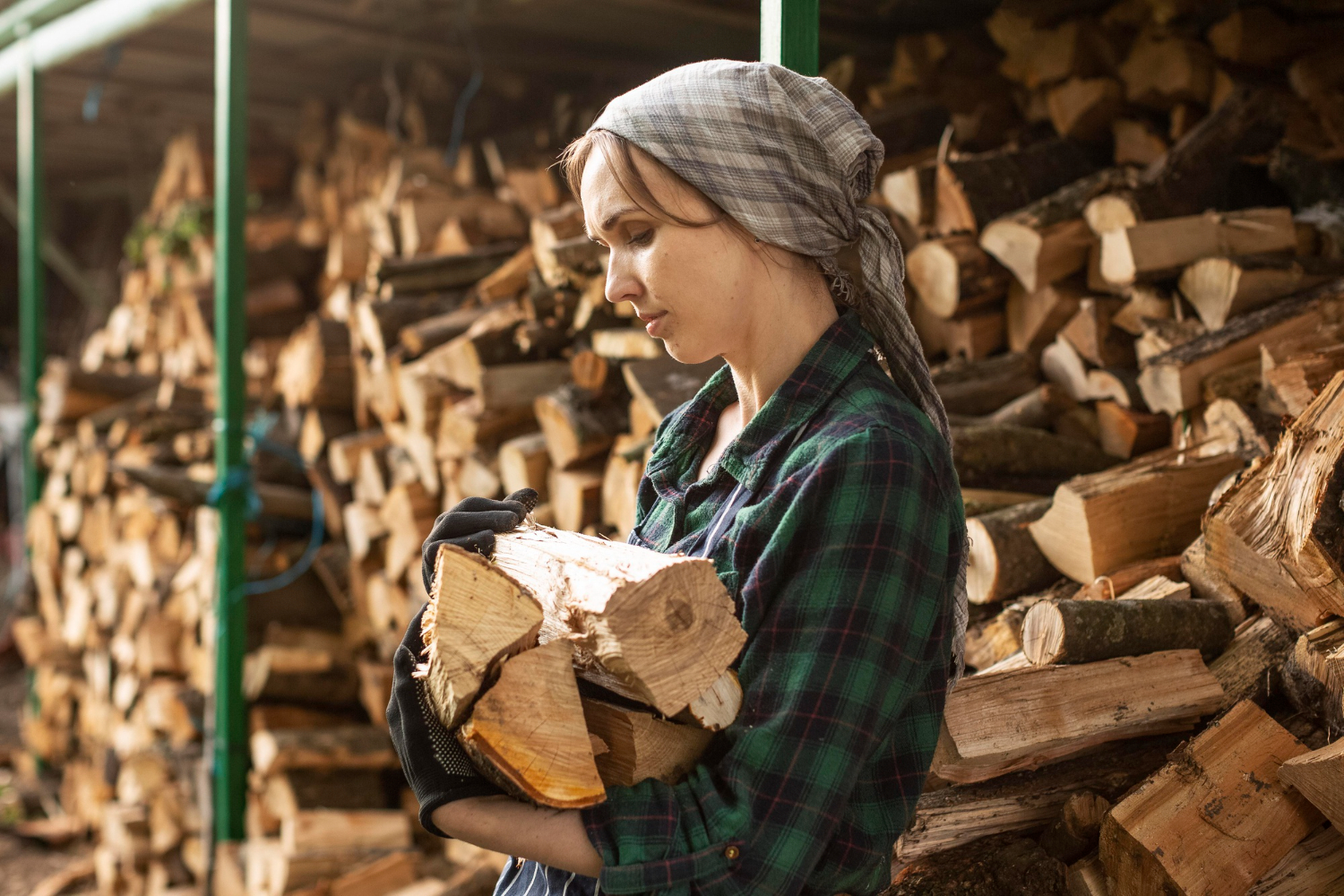 Holz